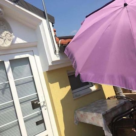 Apartmani Djura Selce Zewnętrze zdjęcie